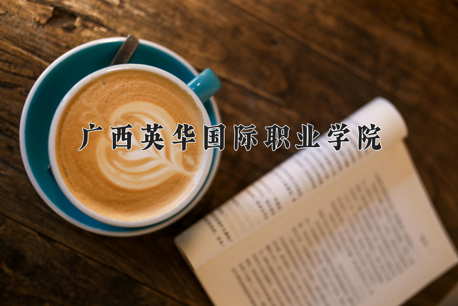 广西英华国际职业学院