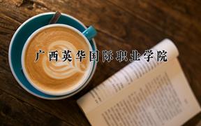 2024年广西英华国际职业学院录取分数线，河北最低260分