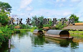 2024年武汉光谷职业学院录取分数线，河北最低295分