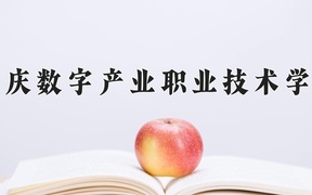 2024年重庆数字产业职业技术学院录取分数线，河北最低240分
