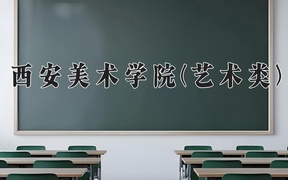 2024年西安美术学院(艺术类)录取分数线，河北最低517分