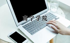 2024年南宁学院录取分数线，河北最低453分