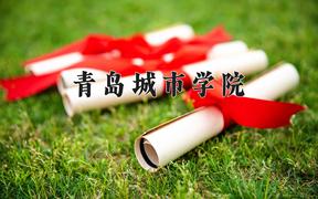2024年青岛城市学院录取分数线，河北最低462分