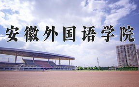 2024年安徽外国语学院录取分数线，河北最低453分