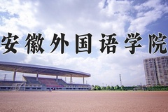 2024年安徽外国语学院录取分数线，河北最低453分
