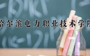 2024年哈尔滨电力职业技术学院录取分数线，河北最低432分