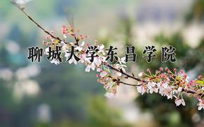 2024年聊城大学东昌学院录取分数线，河北最低477分