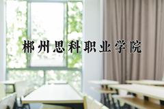 2024年郴州思科职业学院录取分数线，河北最低283分