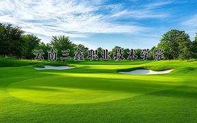 2024年云南三鑫职业技术学院录取分数线，河北最低252分