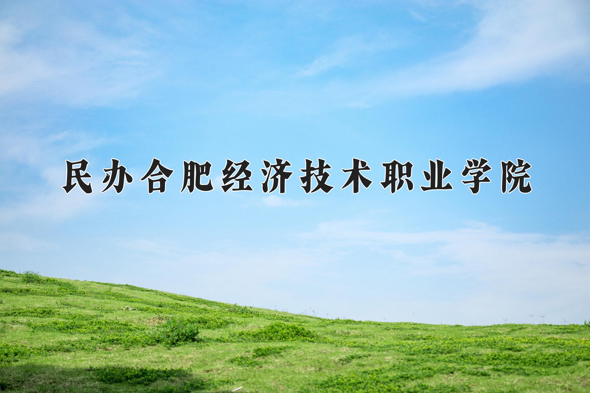 民办合肥经济技术职业学院