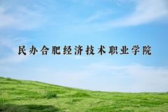 2024年民办合肥经济技术职业学院录取分数线，河北最低330分