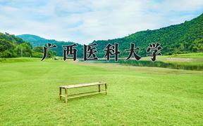 2024年广西医科大学录取分数线，河北最低502分