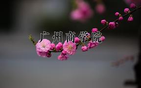 2024年广州商学院录取分数线，河北最低451分
