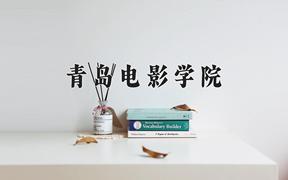 2024年青岛电影学院录取分数线，河北最低451分