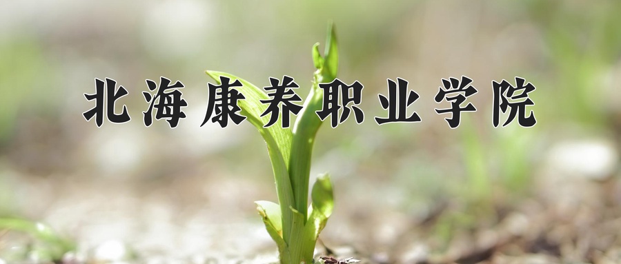 北海康养职业学院