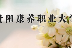 2024年贵阳康养职业大学录取分数线，河北最低491分