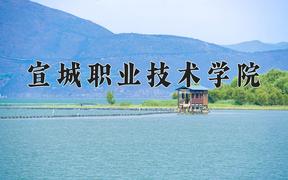 2024年宣城职业技术学院录取分数线，河北最低374分