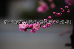 2024年首都师范大学科德学院(艺术类)录取分数线，河北最低452分