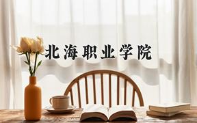 2024年北海职业学院录取分数线，河北最低335分