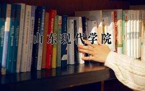 2024年山东现代学院录取分数线，河北最低340分