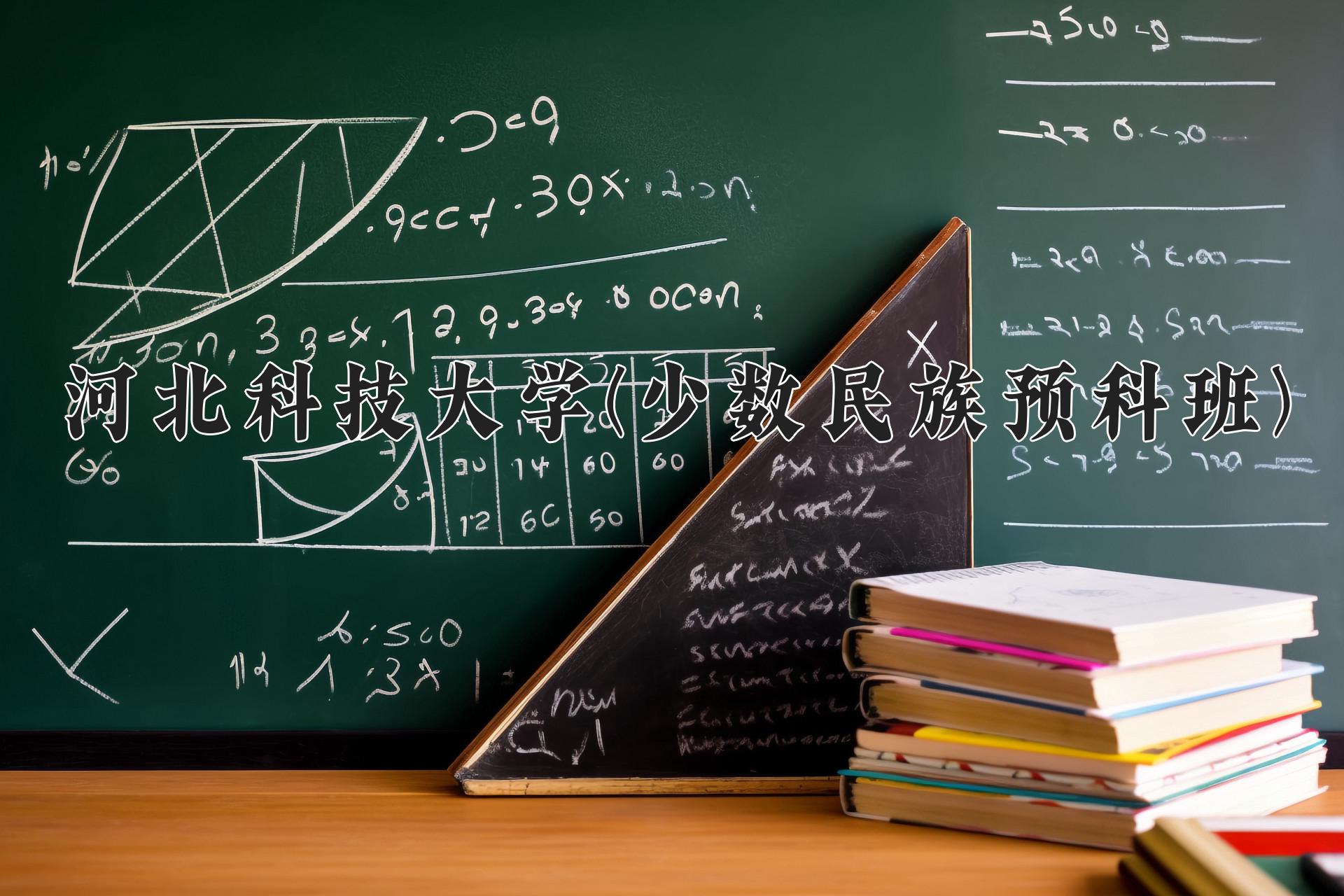 河北科技大学(少数民族预科班)