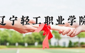 2024年辽宁轻工职业学院录取分数线，河北最低358分