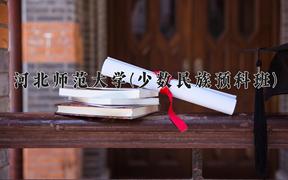 2024年河北师范大学(少数民族预科班)录取分数线，河北最低533分