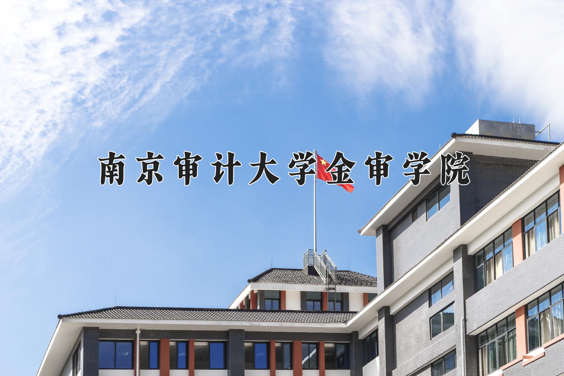 南京审计大学金审学院