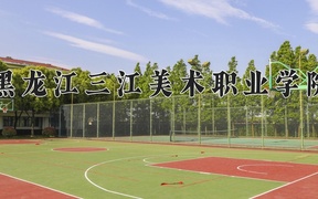 2024年黑龙江三江美术职业学院录取分数线，河北最低248分