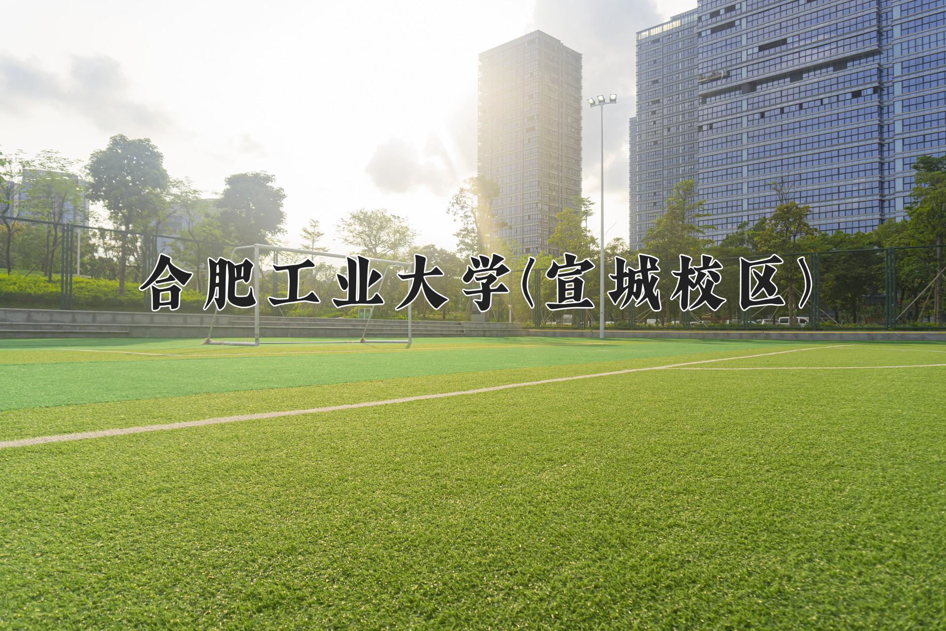 合肥工业大学(宣城校区)