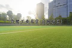 2024年合肥工业大学(宣城校区)录取分数线，河北最低571分