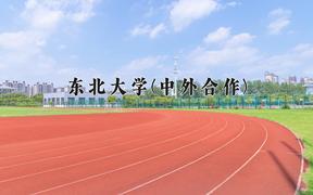 2024年东北大学(中外合作)录取分数线，河北最低577分