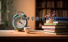2024年沈阳城市学院(艺术类)录取分数线，河北最低475分