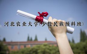 2024年河北农业大学(少数民族预科班)录取分数线，河北最低515分