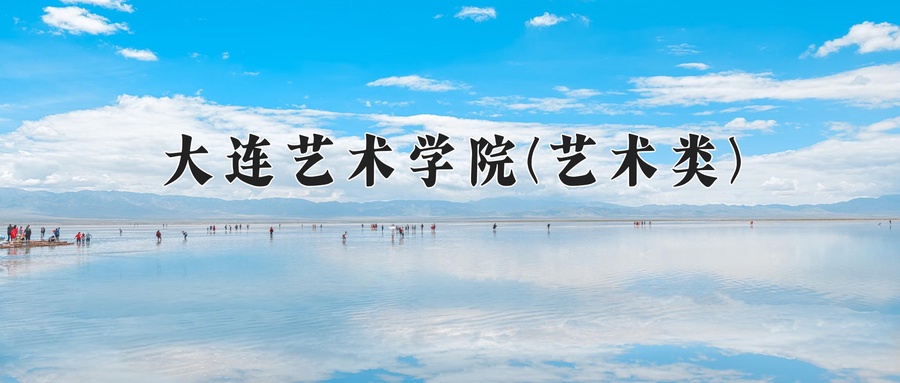 大连艺术学院(艺术类)