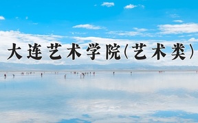 2024年大连艺术学院(艺术类)录取分数线，河北最低449分