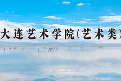 2024年大连艺术学院(艺术类)录取分数线，河北最低449分