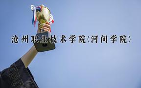 2024年沧州职业技术学院(河间学院)录取分数线，河北最低348分