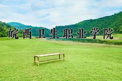 2024年皖西卫生职业学院录取分数线，河北最低390分
