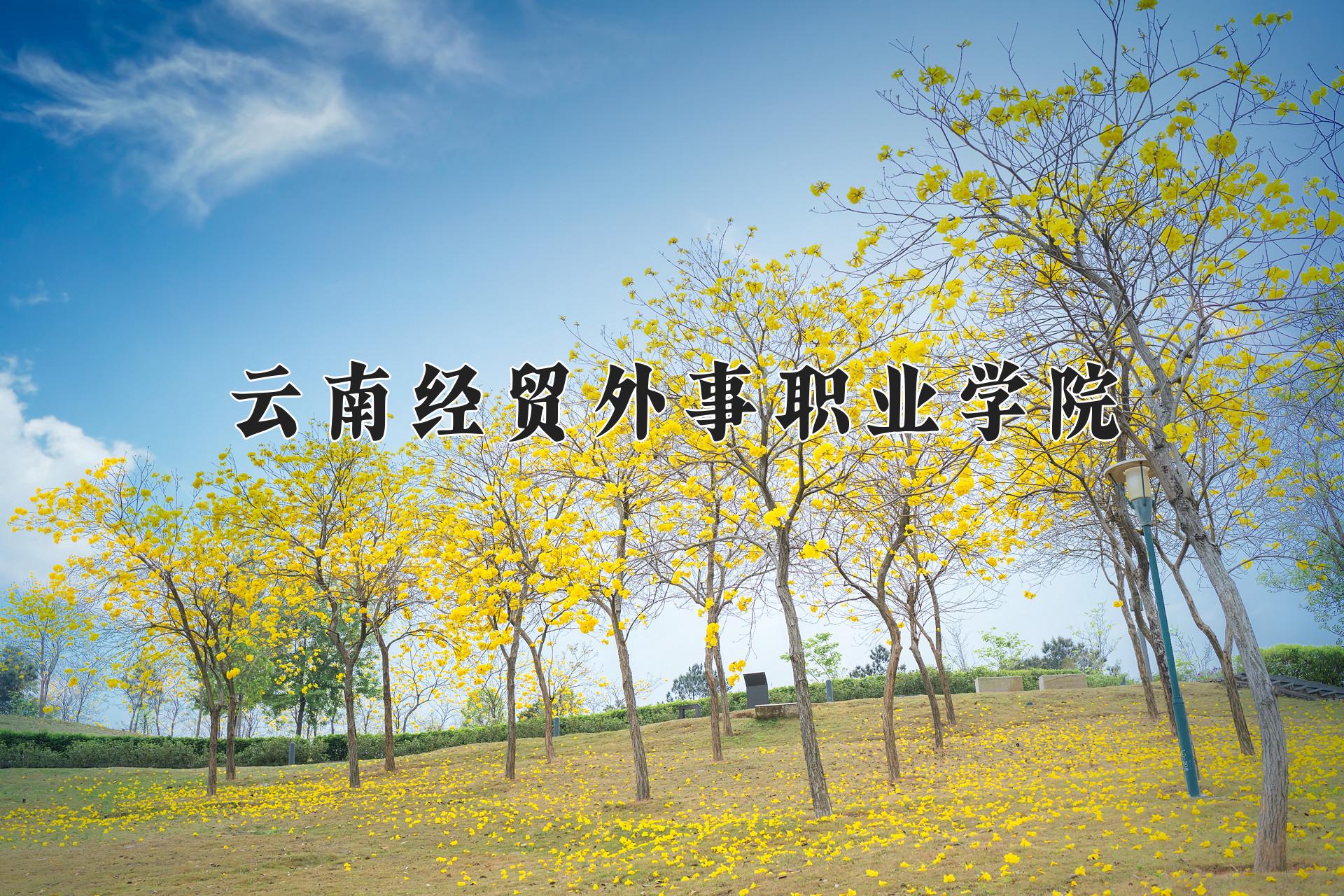云南经贸外事职业学院