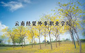 2024年云南经贸外事职业学院录取分数线，河北最低245分