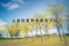 2024年云南经贸外事职业学院录取分数线，河北最低245分