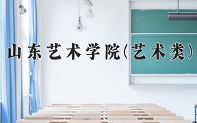 2024年山东艺术学院(艺术类)录取分数线，河北最低504分