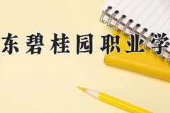 2024年广东碧桂园职业学院录取分数线，河北最低244分