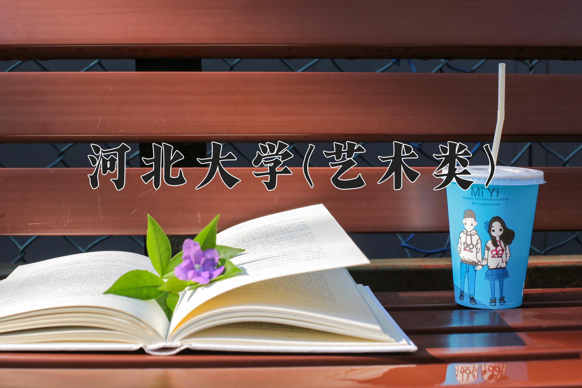 河北大学(艺术类)