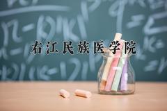 2024年右江民族医学院录取分数线，河北最低489分