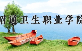 2024年昭通卫生职业学院录取分数线，河北最低344分