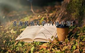 2024年青海民族大学(八协计划)录取分数线，河北最低350分