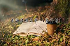 2024年青海民族大学(八协计划)录取分数线，河北最低350分