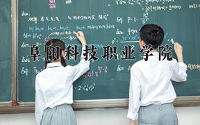 2024年阜阳科技职业学院录取分数线，河北最低313分